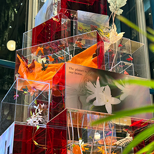 Nescafe X’mas Art Project 2025